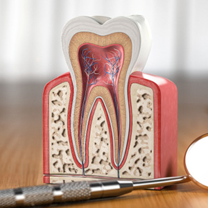 Cross-section of tooth next to dental mirror